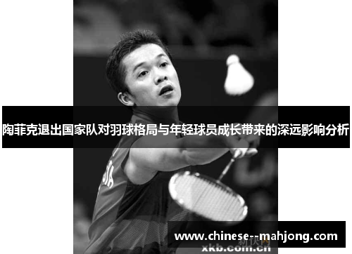 陶菲克退出国家队对羽球格局与年轻球员成长带来的深远影响分析 陶菲克退出国家队对羽球格局与年轻球员成长带来的深远影响分析